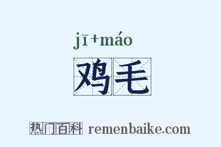 鸡毛是什么意思的图片